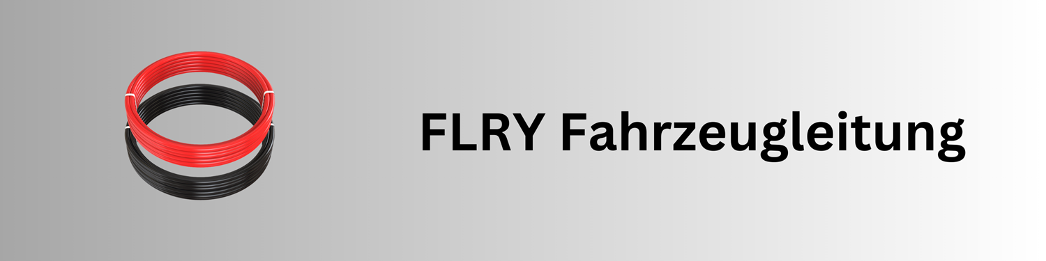 FLRY Fahrzeugleitung bei MaxZima